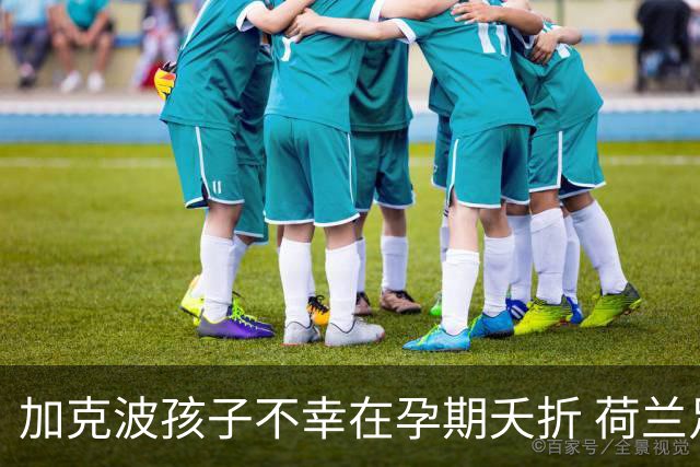 加克波孩子不幸在孕期夭折 荷兰足协：球员愿留队征战